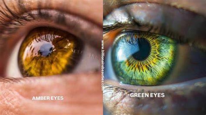 Amber Eyes