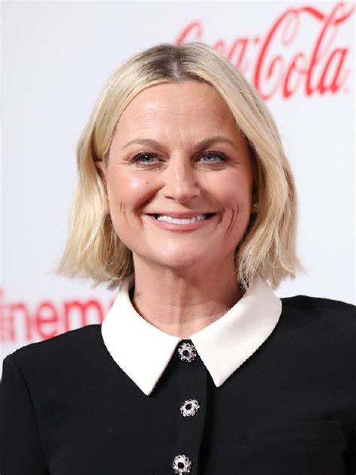 Amy Poehler Net Worth How the 'Parks and Rec' Alum Makes Money