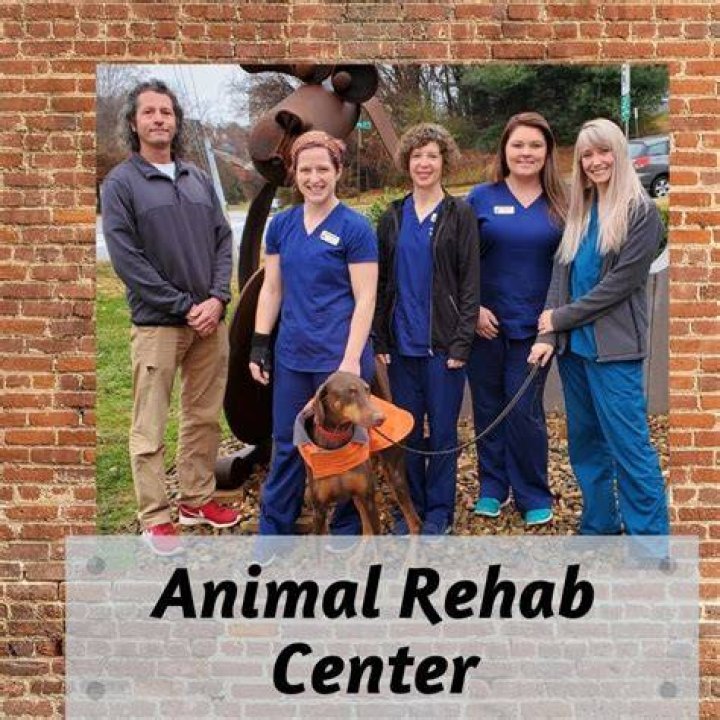 Animal rehab center opening thanks to Jimmy and Johari Rollins