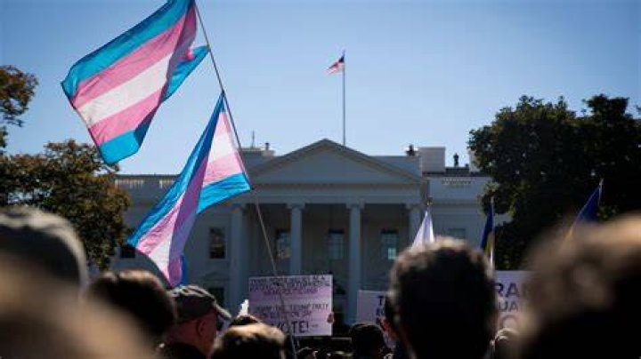At Rallies and Online, Transgender People Say They WontBeErased The