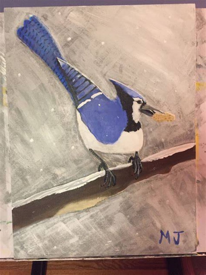 Billy Blue Jay 1 by toddknaperek on DeviantArt