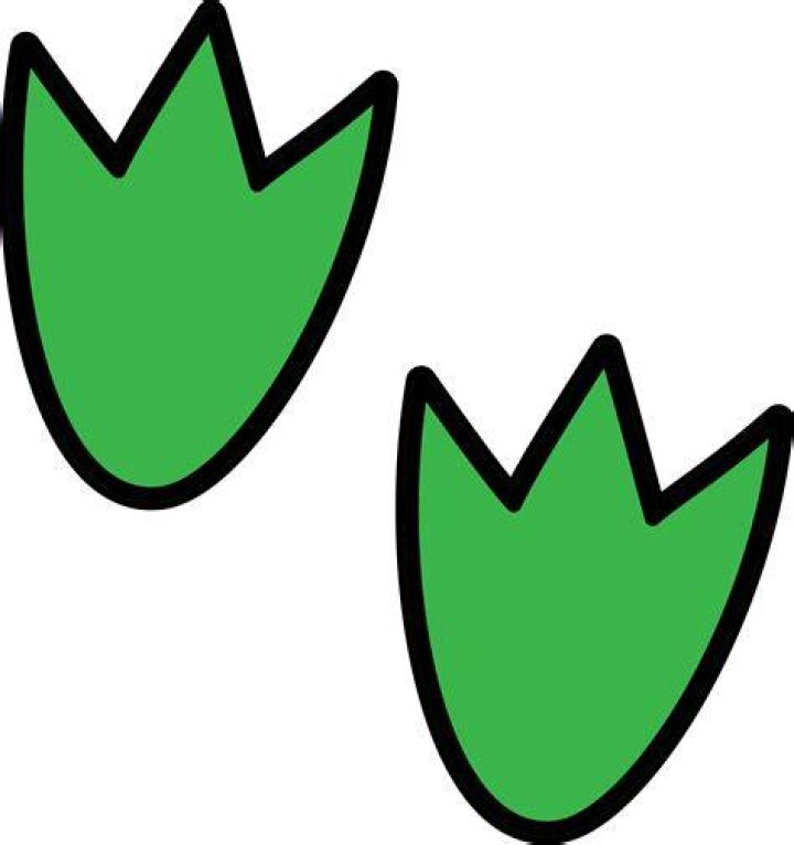 Dinosaur Footprint Images ClipArt Best