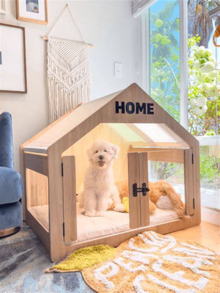 Dog House on Twitter "1st ever pup event in StokeonTrent to be held
