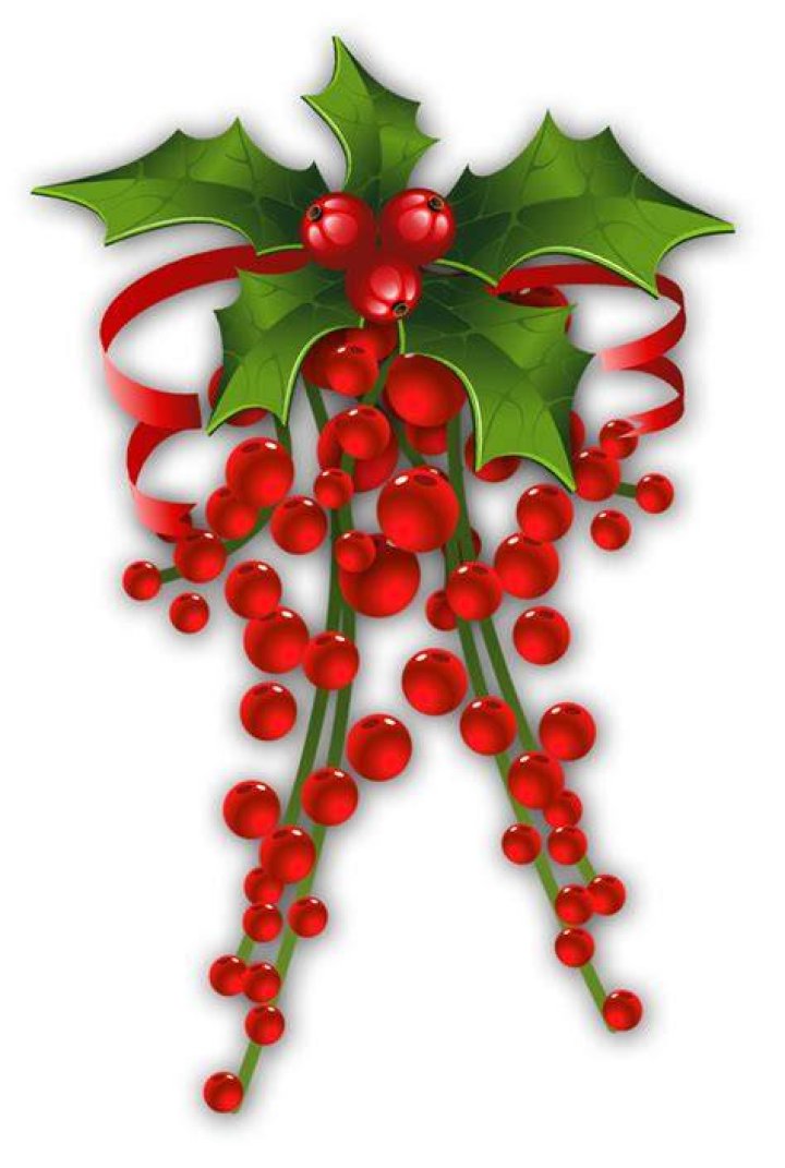 Free Mistletoe Cliparts Transparent, Download Free Mistletoe Cliparts