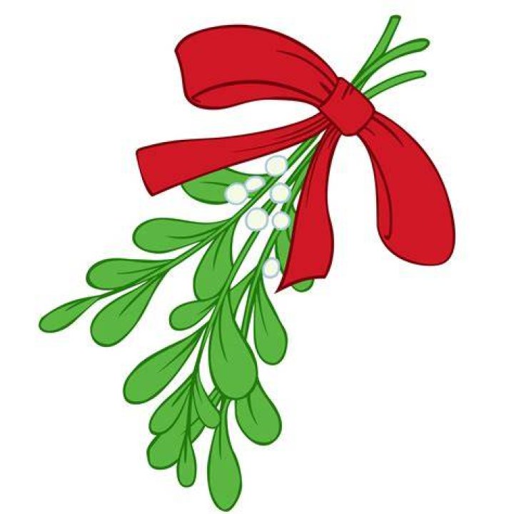 Full Version of Mistletoe Clipart Clip Art Library