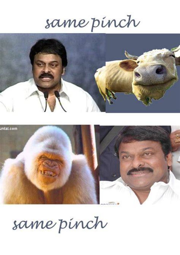 funny chiru same pinch