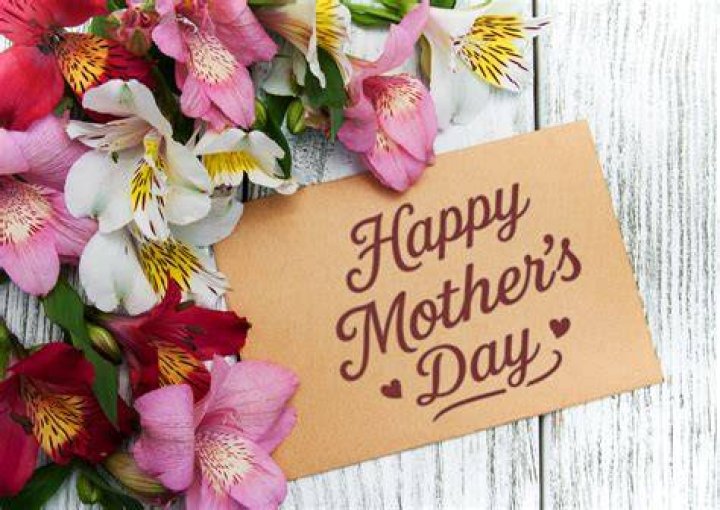 Happy Mothers Day! fromMy Dog Paws xx Mother and Father's Day