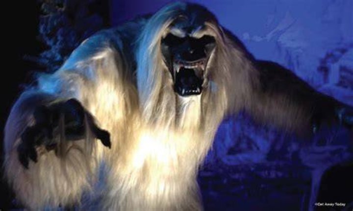 Harold the Yeti, Matterhorn, Disneyland via Mice Chat Creepy disney