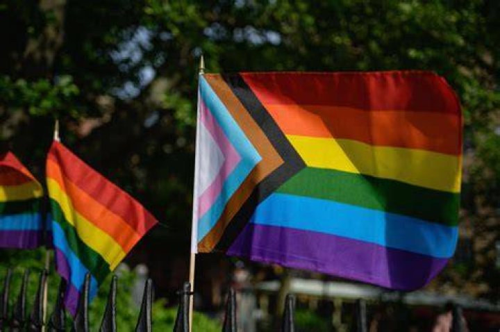 Here are 5 LGBTQ pride flags and what they mean