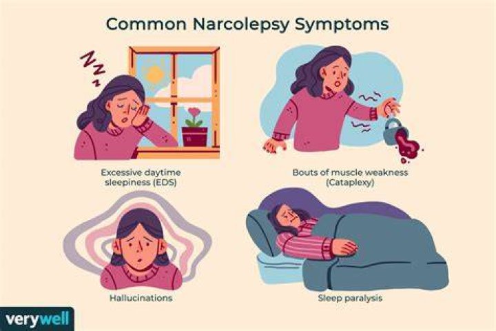 Identifying Your Sleeping Disorder Narcolepsy Cataple vrogue.co