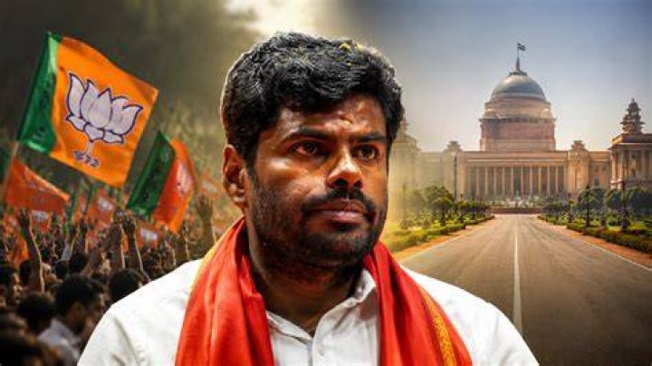 In K Annamalai, BJP Likely To Get Another Authoritative Voice In Rajya