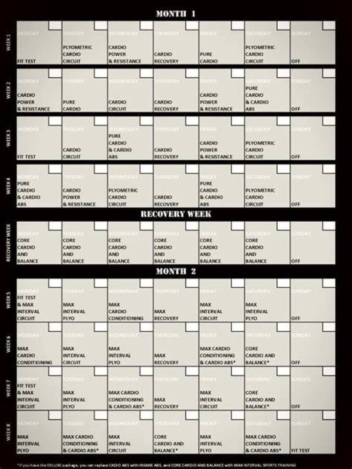 Insanity Workout Calendar Excel Pictures Insanity workout schedule