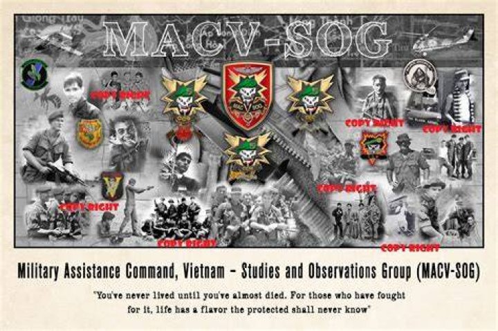 James Shorten MACVSOG