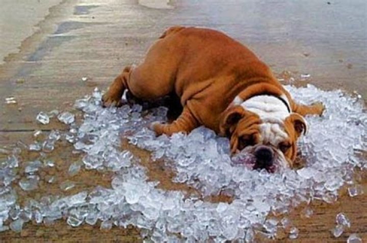 Keeping Cool Investment Strategy vs. Reaction Green Bay News Network