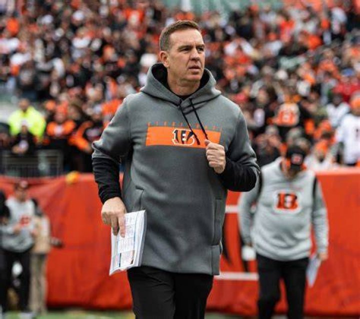 Lou Anarumo, Pro football coach