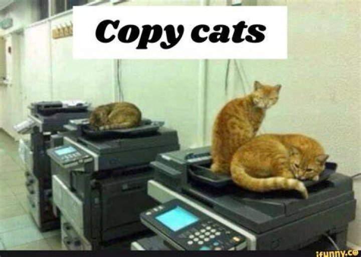 Machine Go Boom Copy Cat YouTube