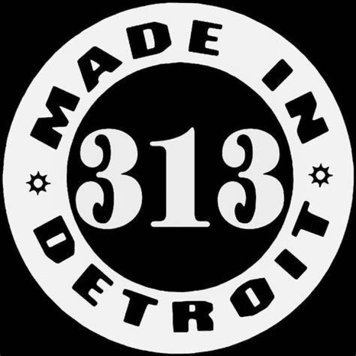 Made In Detroit 313 Vinyl Decal Sticker