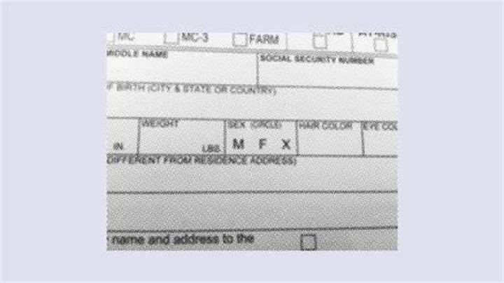 Minnesota Quietly Began Issuing Nonbinary Driver&rsquo;s Licenses This Week