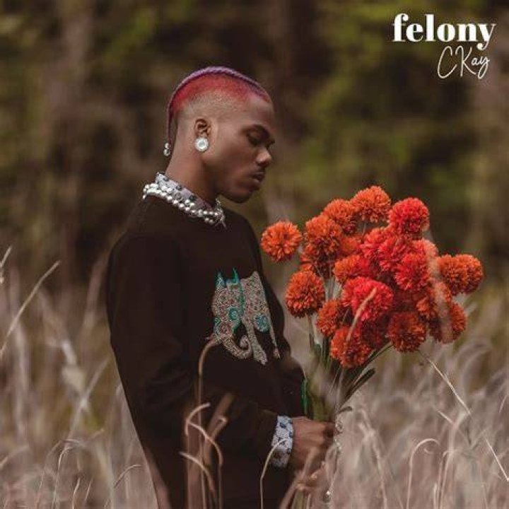 MUSIC Ckay Felony
