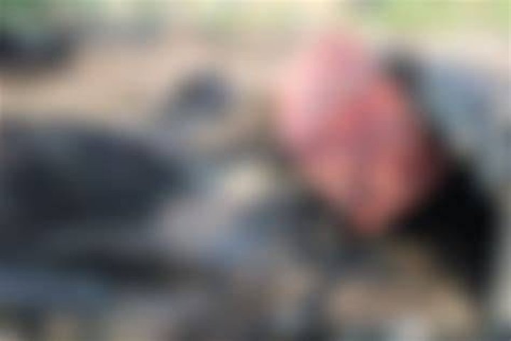 Nikki Catsouras photographs, Dead Body, Face And Controversy The History