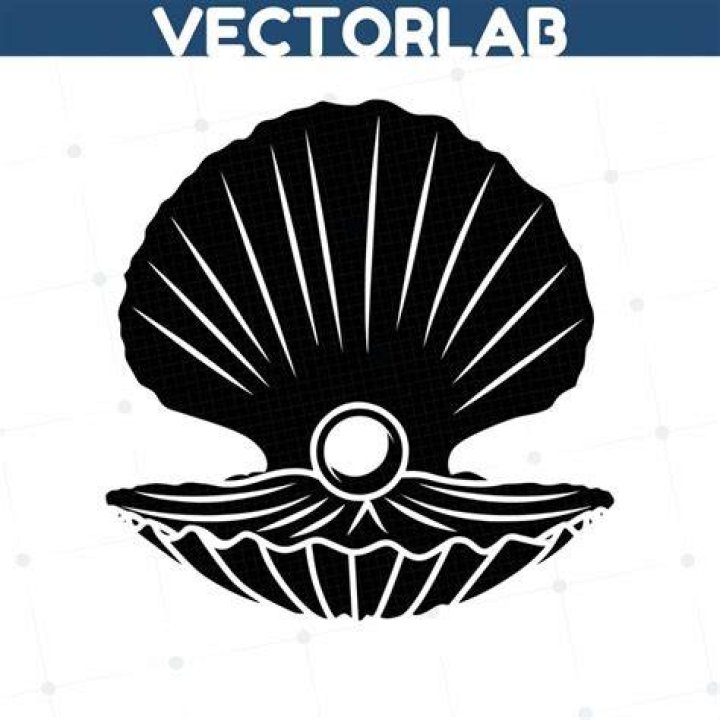 oyster Silhouette Svg Dxf Eps Silhouette Rld RDWorks Pdf Png