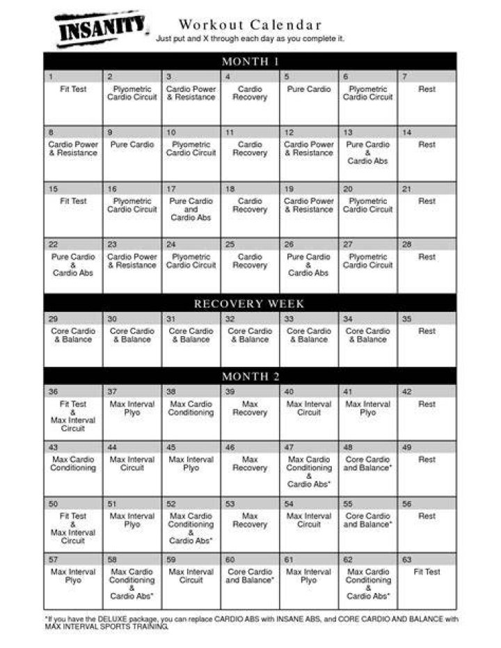 Printable Insanity Workout Printable Word Searches