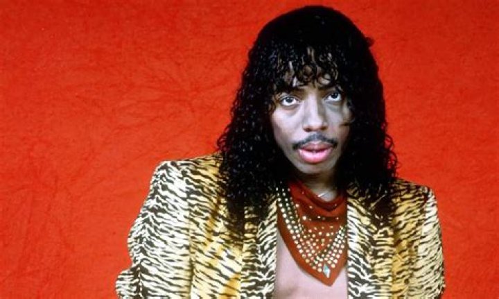 Rick James' Daughter Wants Terrence Howard To Play Him In A Biopic