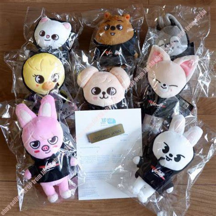 STRAY KIDS OFFICIAL SKZOO PLUSH MINI BBOKARI lagoagrio.gob.ec