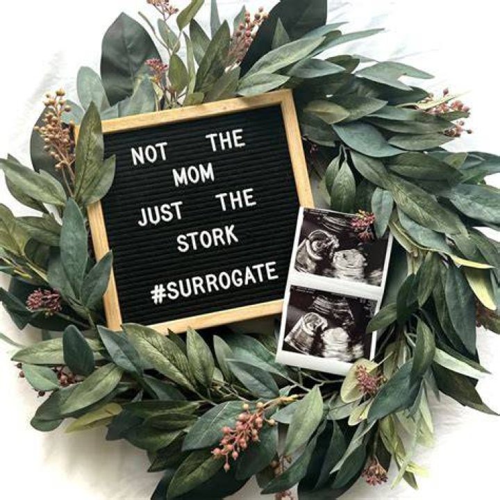 Surrogacy announcement Surrogate, Pregnancy photos, Surrogacy