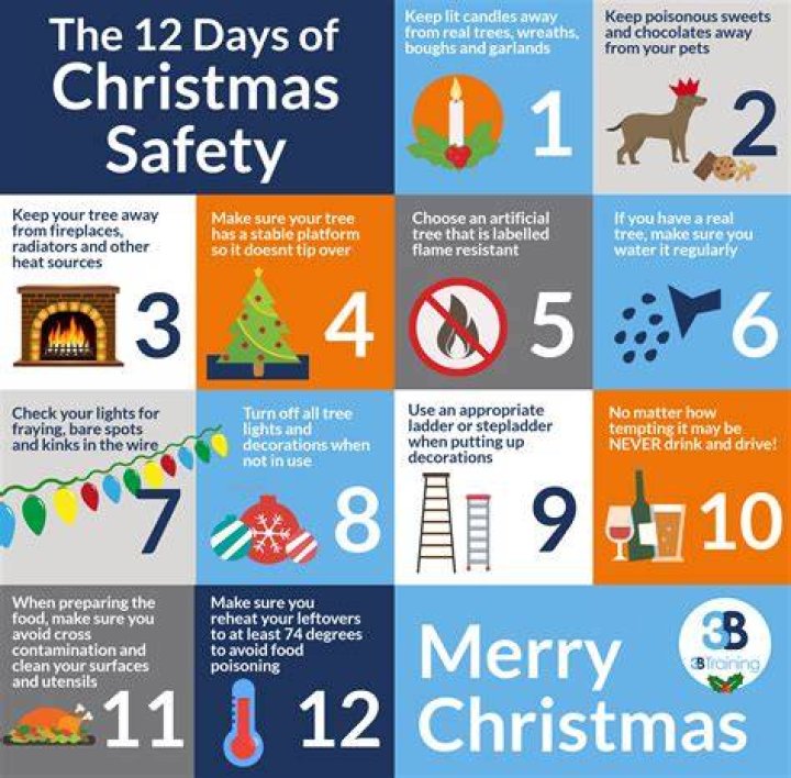The 12 tips of Christmas dinner Christmas The Guardian