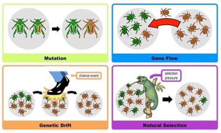 The 4 Mechanisms of How Ketamine Works &mdash; Reset Ketamine Ketamine