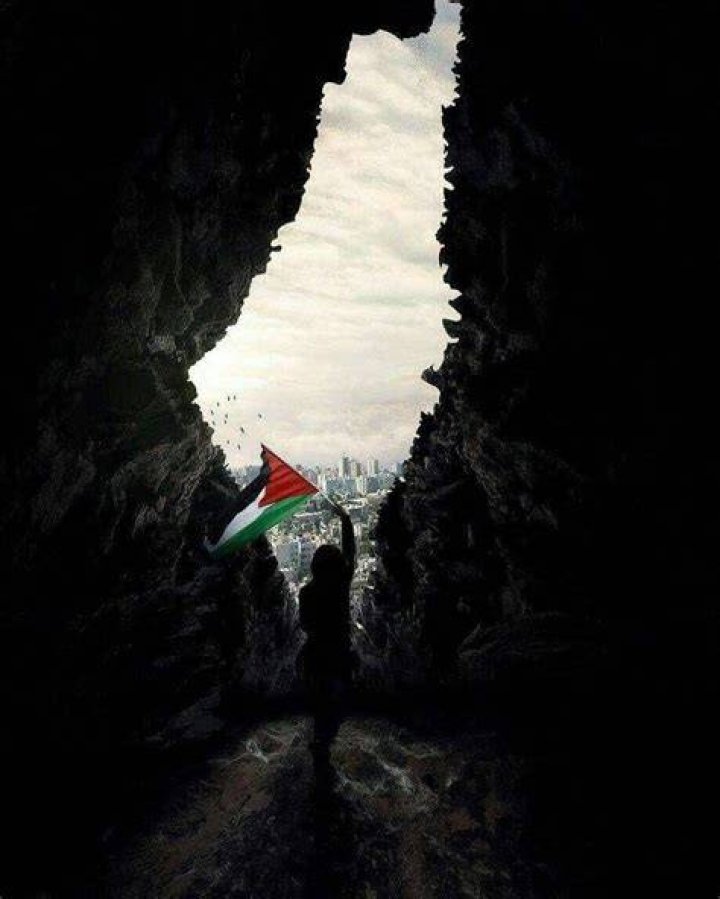 Top 999+ Palestine Wallpaper Full HD, 4K Free to Use