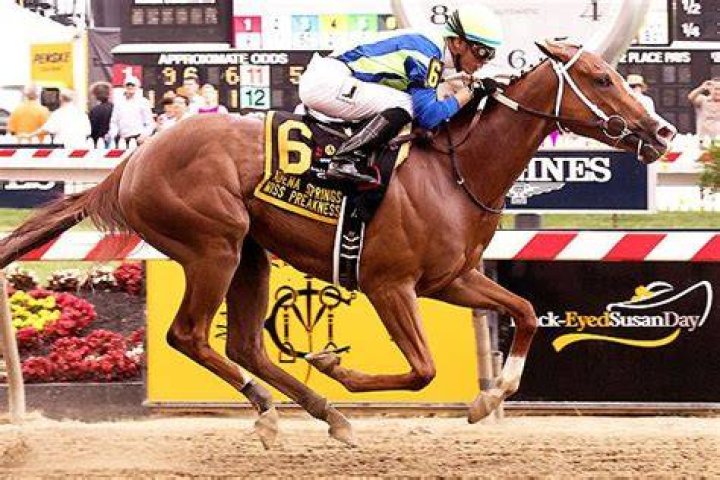 Vertical Oak notches second straight win with Miss Preakness Stakes