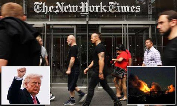 Viral Video New York Times Square &lsquo;taken over&rsquo; by bees; NYPD comes to