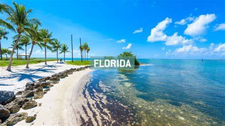 Why Florida's Clearwater Beach Is Great for Families